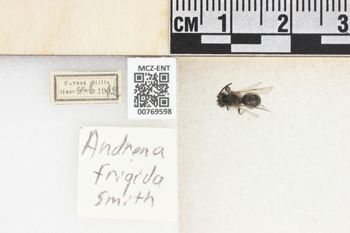 Media type: image;   Entomology 769598 Aspect: Labels
